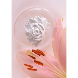 RŮŽIČKA + EUKALYPTUS ŠPANĚLSKÝ éterický olej