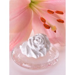 RŮŽIČKA + EUKALYPTUS ŠPANĚLSKÝ éterický olej