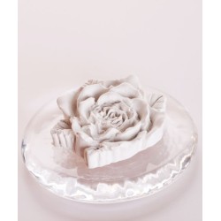 RŮŽIČKA + EUKALYPTUS ŠPANĚLSKÝ éterický olej